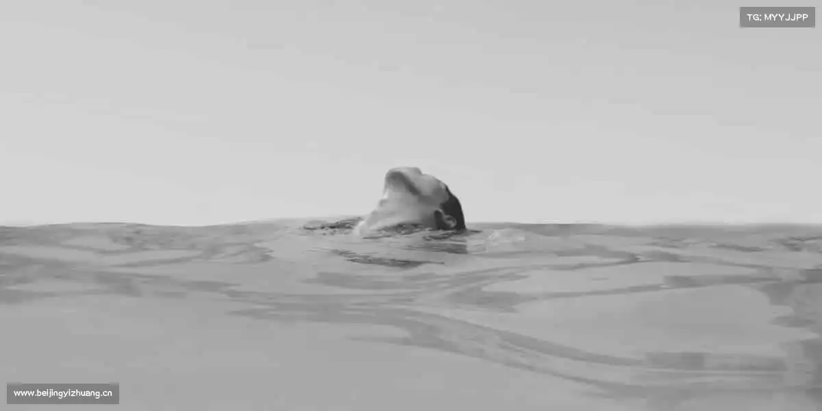 南宫NG28🥊对抗地心引力，打破自我边界 —— 这里，是超越的开始！