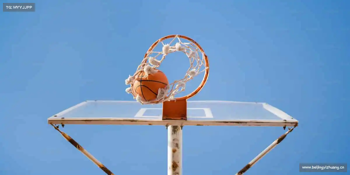 星空体育官网🏀用汗水书写青春，用热爱点燃赛场 —— 你的体育故事，由你定义！